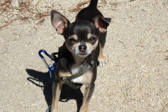 pantano-ermita-2025-06