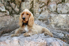 pantano-ermita-2025-16