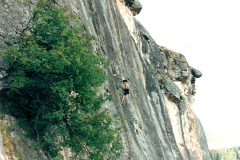 perejil-01