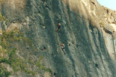 perejil-02