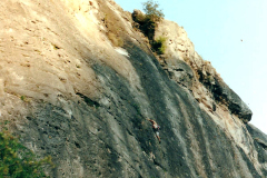 perejil-03