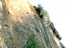 perejil-04