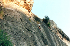 perejil-05
