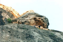 perejil-06