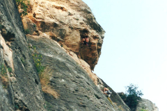 perejil-07