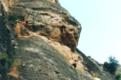 perejil-08