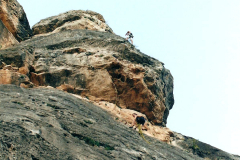 perejil-09