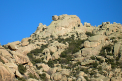 Aguja Larios