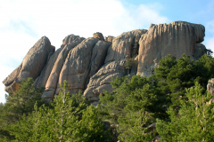 2009-01