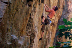 2010-eloy-08