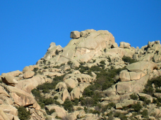 aguja_larios