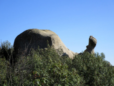 caracol