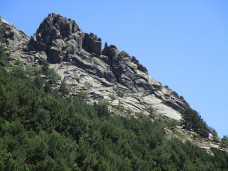 escaleron
