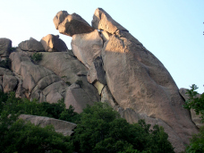 mataelvicial