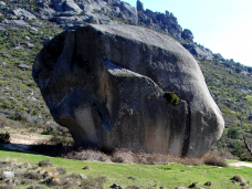 tolmo