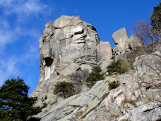 torre_aranas_negras