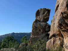 totem