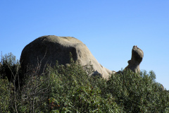 caracol