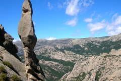 centinela