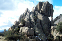 elefantito