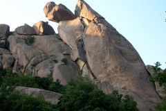 mataelvicial
