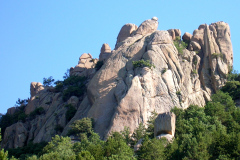 pajarito
