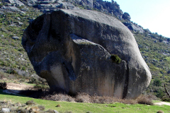 tolmo