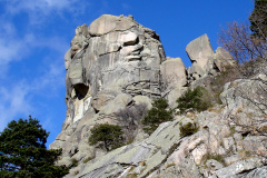 torre_aranas_negras
