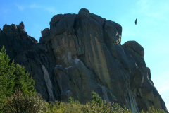 Torre de las Arañas Negras