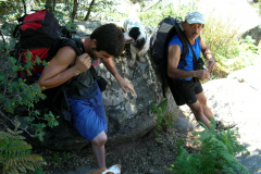 pedriceros-almerienses-tortuga-01