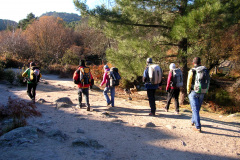 fisurilla-artifo-02