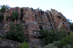 2014-01