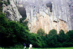 eco-1