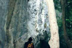 eco-2