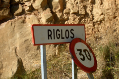 12_cartel