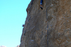 dandolo-todo-21