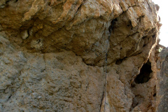 dandolo-todo-29