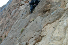 palsur-11