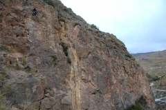 palsur-15