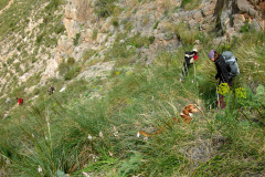 tajo-presos-14