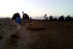 tajo-presos-2022-19