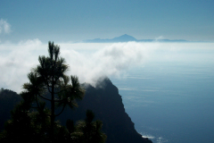 tamadaba-26