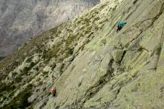 guillermo-mateo-torozo-02