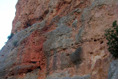 10_sector_covanegra