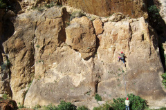 Turre