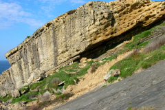 txakur-txiki-33