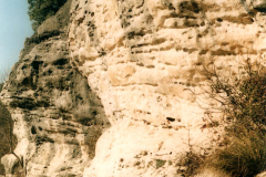 2005-con-peter-02